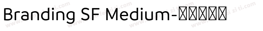 Branding SF Medium字体转换